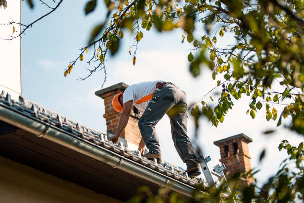 Best Residential Roofing Contractor  in Oreana, IL